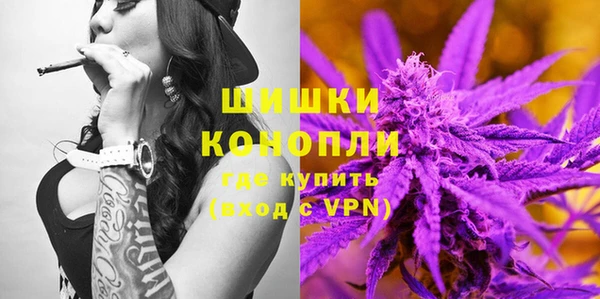 индика Карабаново