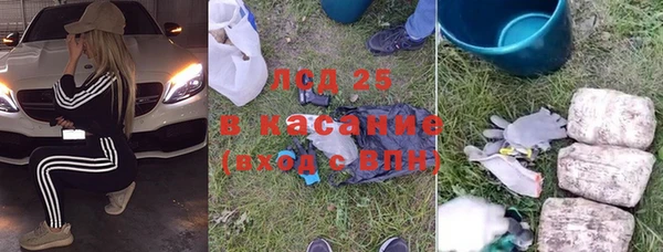 сатива Кадников