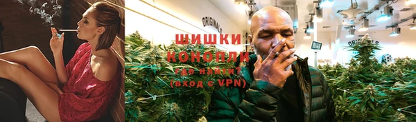 PSILOCYBIN Переславль-Залесский