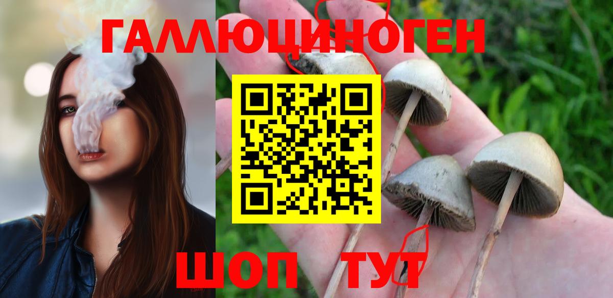 Псилоцибиновые грибы прущие грибы  Вход с VPN  Конаково 
